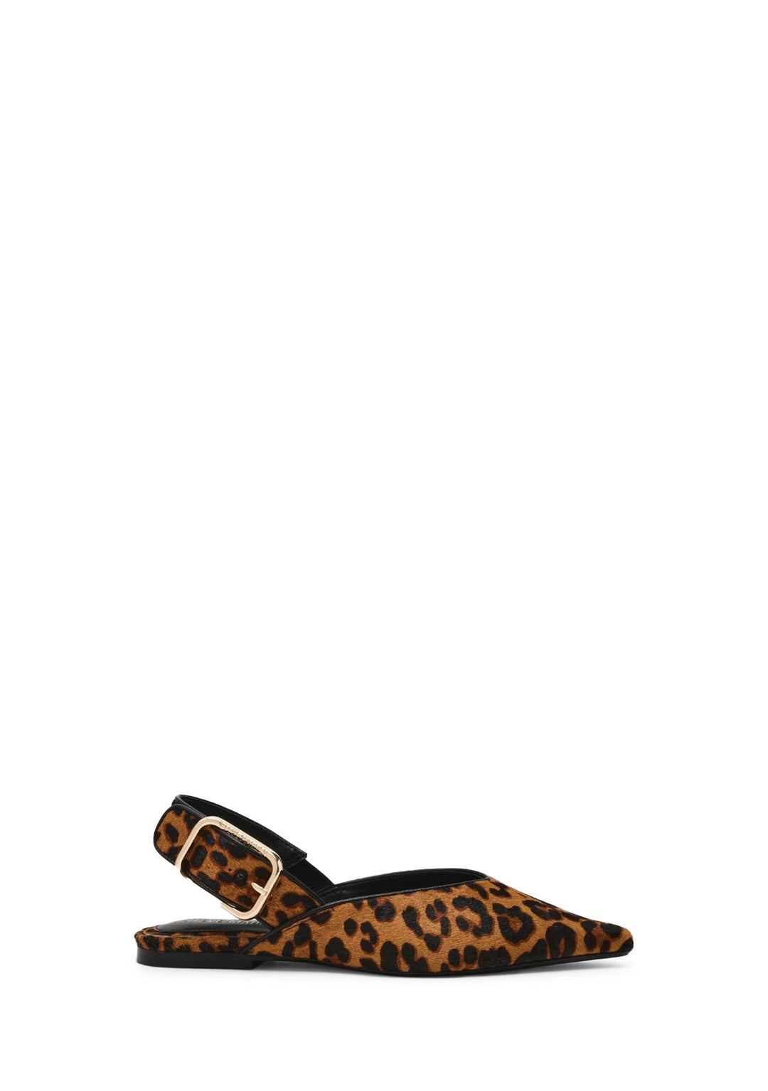 CIABATTA Multicolor Steve Madden