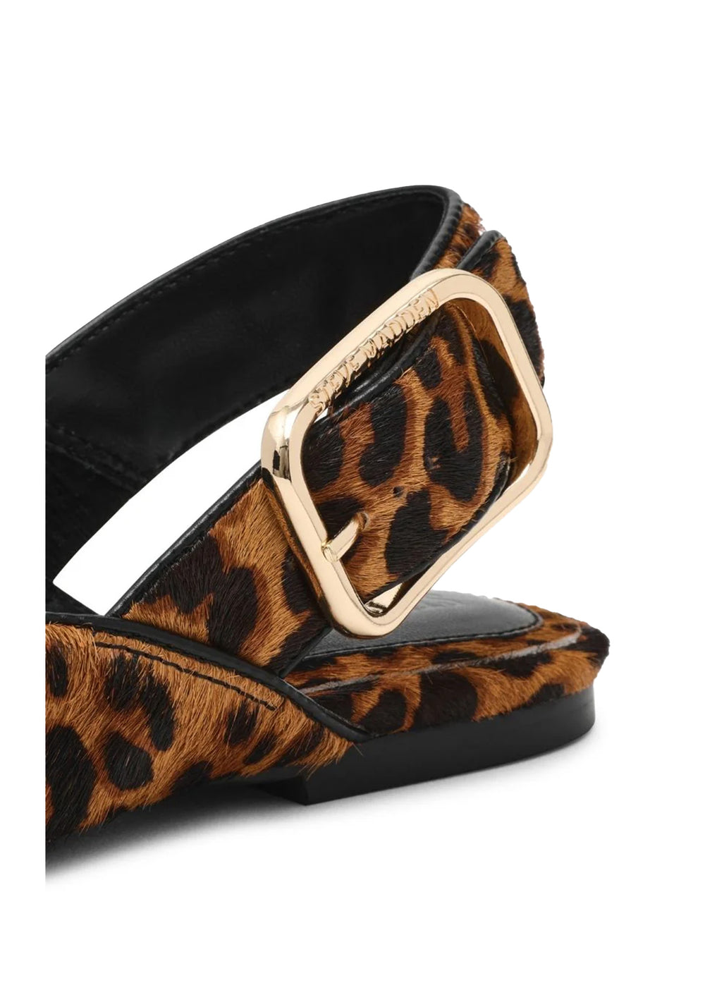 CIABATTA Multicolor Steve Madden