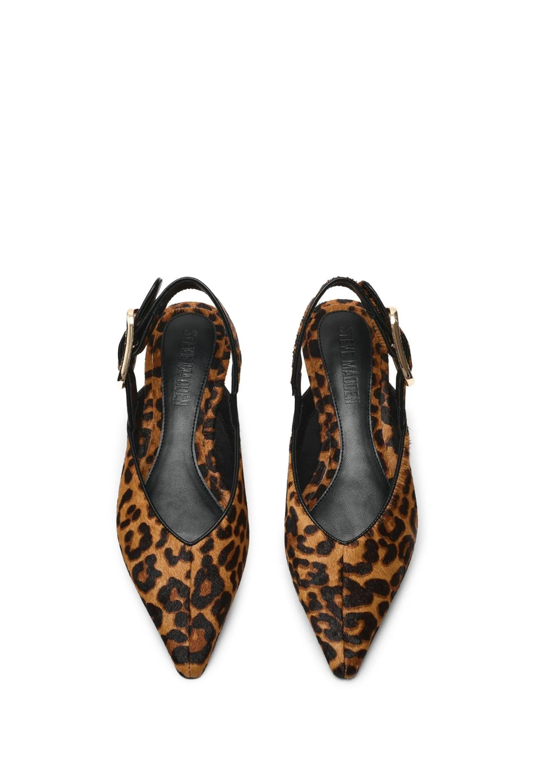 CIABATTA Multicolor Steve Madden