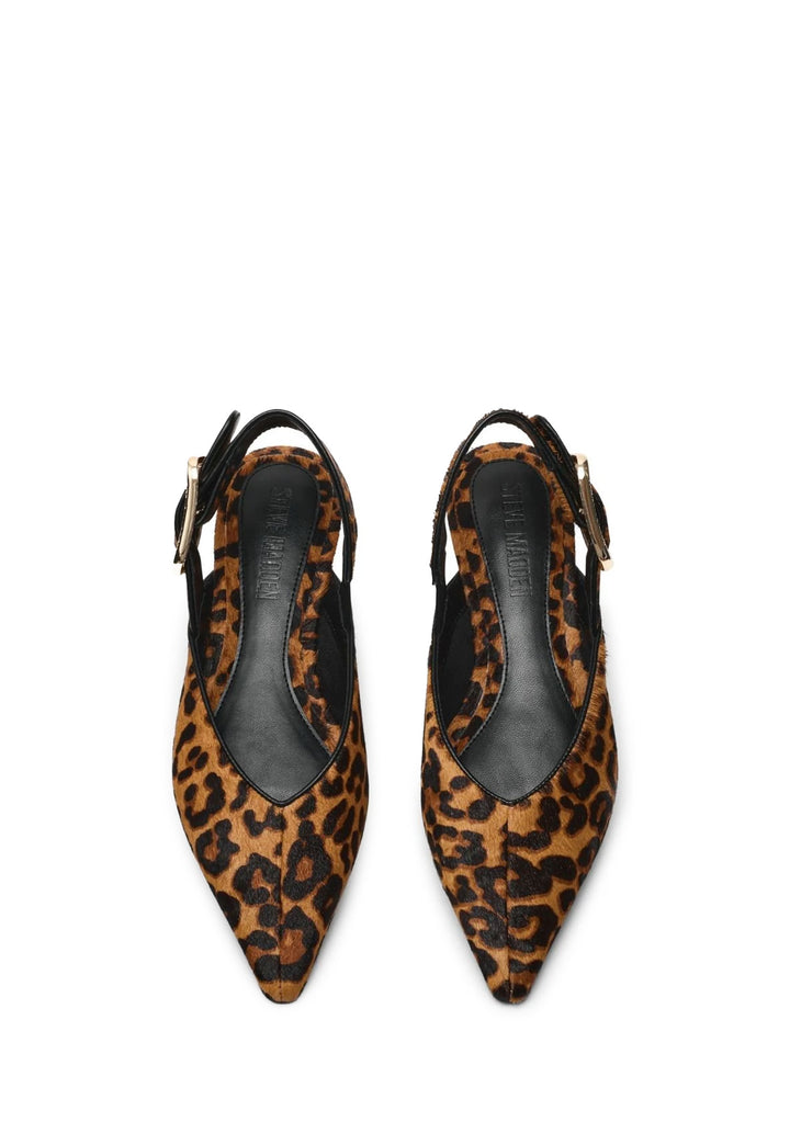 CIABATTA Multicolor Steve Madden