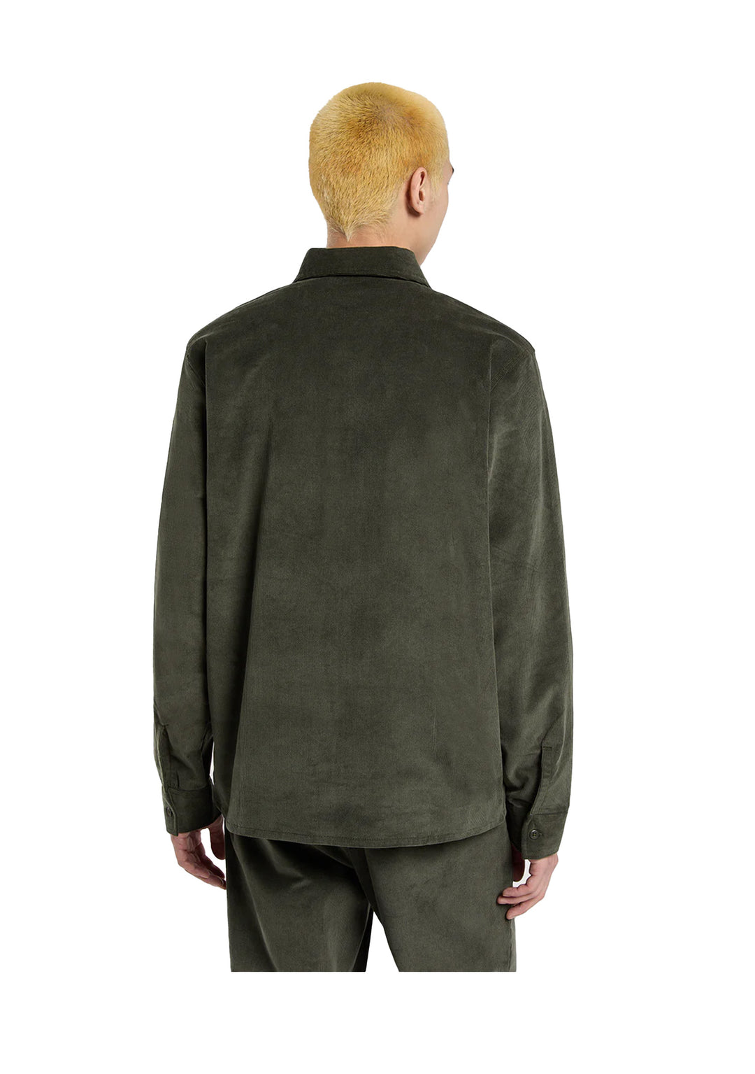 CAMICIA UOMO Verde Dickies