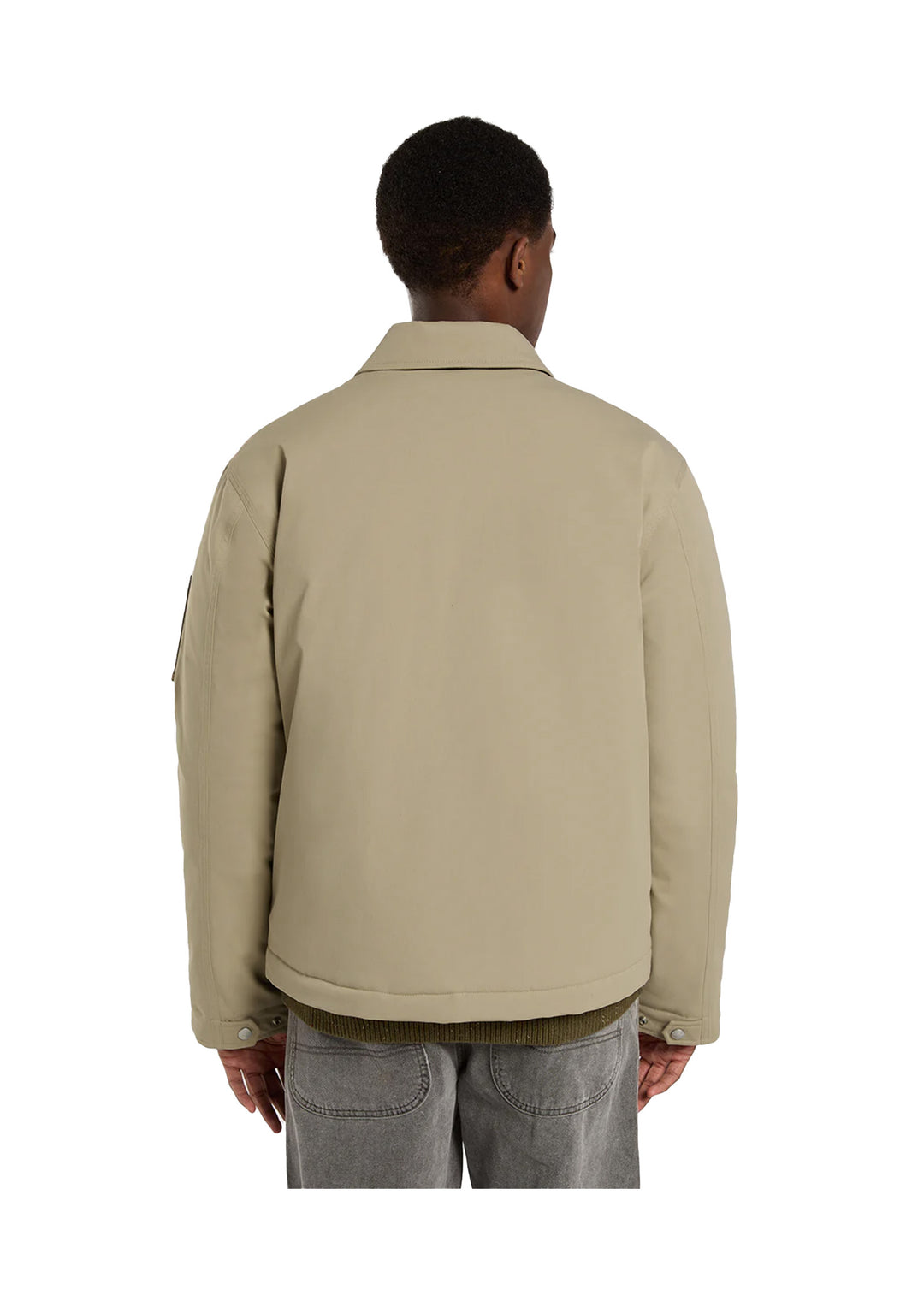GIUBBINO UOMO Beige Dickies
