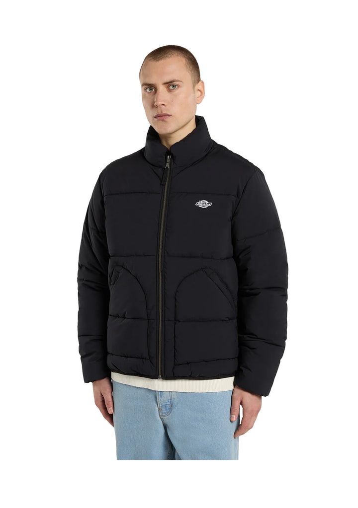 GIUBBINO UOMO Nero Dickies