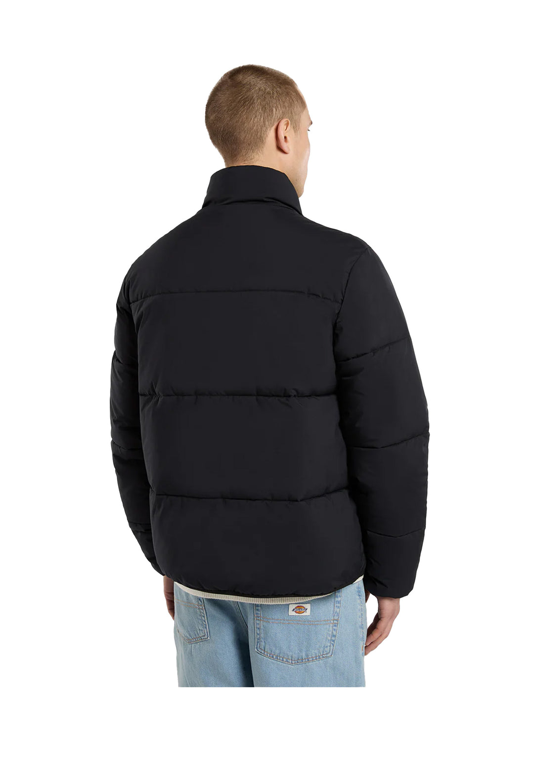 GIUBBINO UOMO Nero Dickies