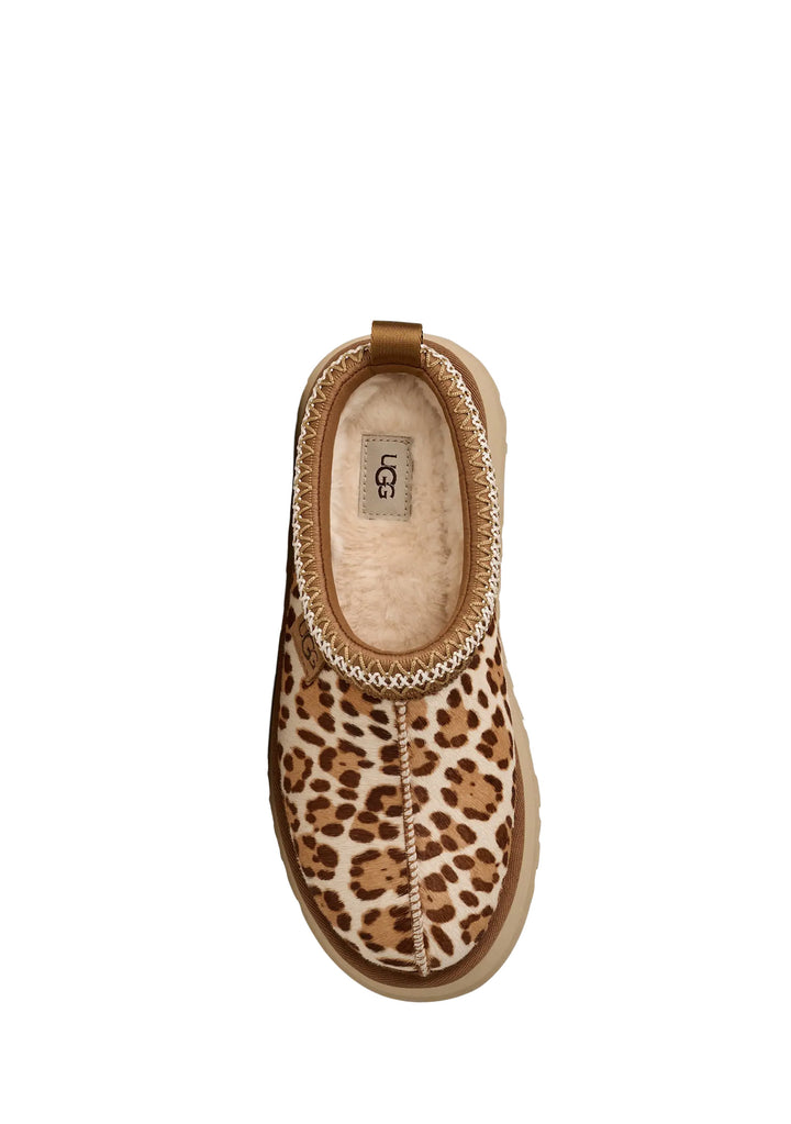 CIABATTA Multicolor Ugg