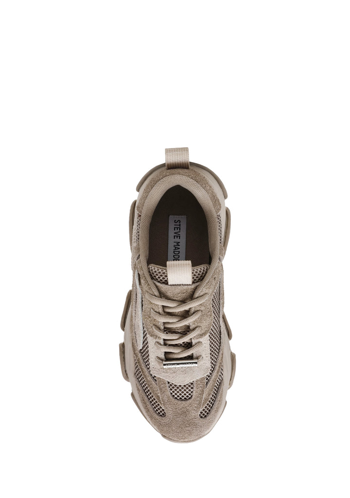 SNEAKERS DONNA Taupe Steve Madden
