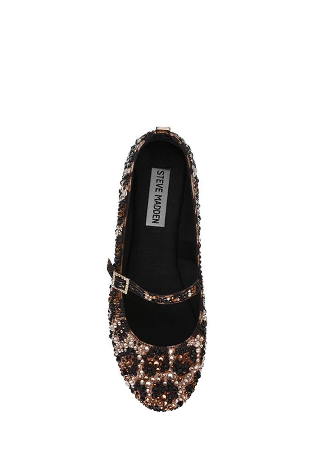 BALLERINA Leopard Steve Madden